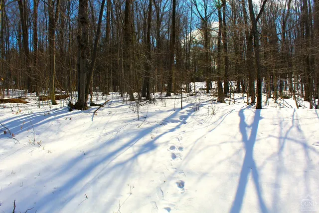 $349,000 | 380 Terrace Drive, Lexington, NY 12468