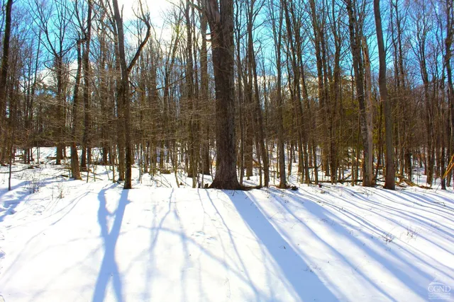 $349,000 | 380 Terrace Drive, Lexington, NY 12468