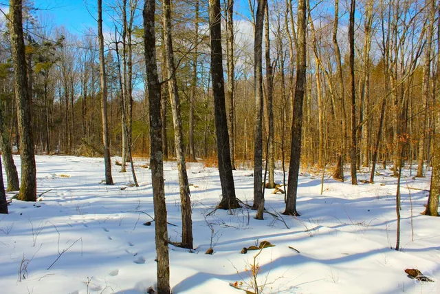 $349,000 | 380 Terrace Drive, Lexington, NY 12468