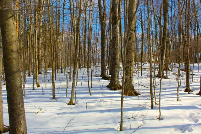 $349,000 | 380 Terrace Drive, Lexington, NY 12468