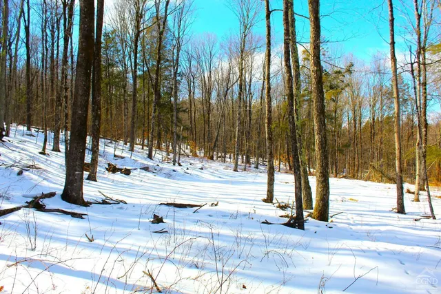 $349,000 | 380 Terrace Drive, Lexington, NY 12468