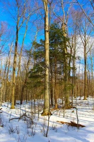 $349,000 | 380 Terrace Drive, Lexington, NY 12468