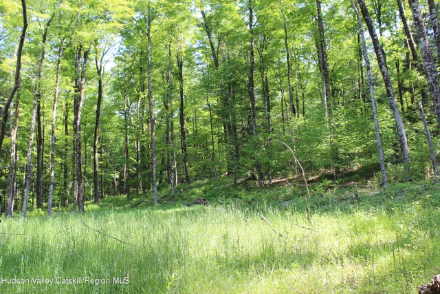 $349,000 | 380 Terrace Drive, Lexington, NY 12468