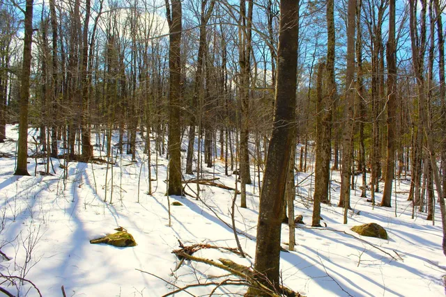 $349,000 | 380 Terrace Drive, Lexington, NY 12468