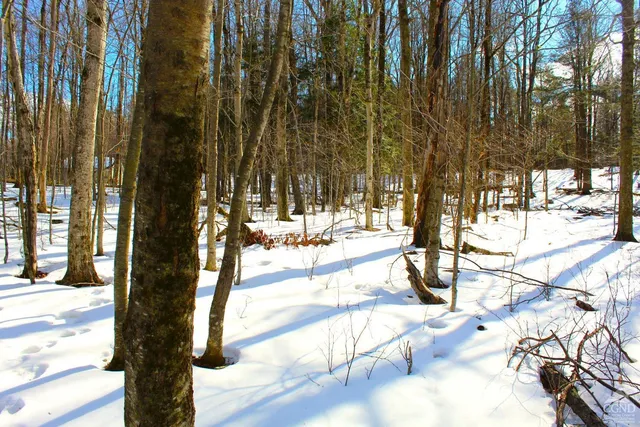 $349,000 | 380 Terrace Drive, Lexington, NY 12468