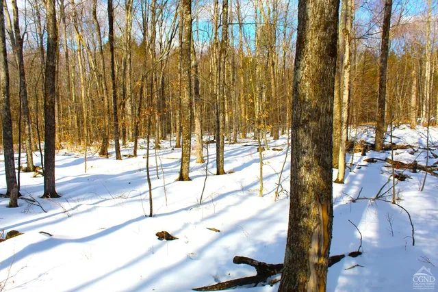 $349,000 | 380 Terrace Drive, Lexington, NY 12468