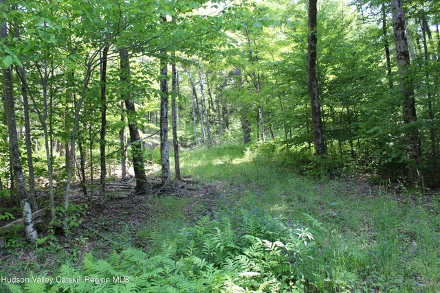 $349,000 | 380 Terrace Drive, Lexington, NY 12468