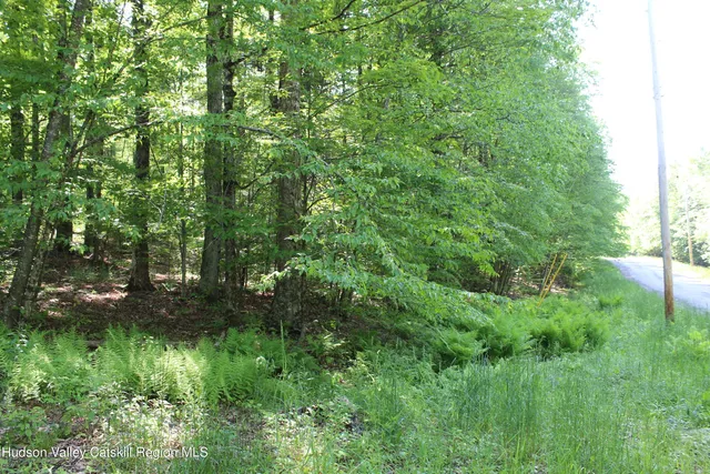 $349,000 | 380 Terrace Drive, Lexington, NY 12468