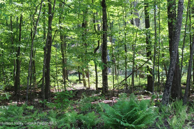 $349,000 | 380 Terrace Drive, Lexington, NY 12468