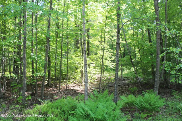 $349,000 | 380 Terrace Drive, Lexington, NY 12468