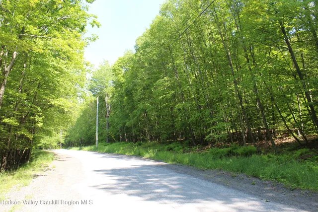 $349,000 | 380 Terrace Drive, Lexington, NY 12468