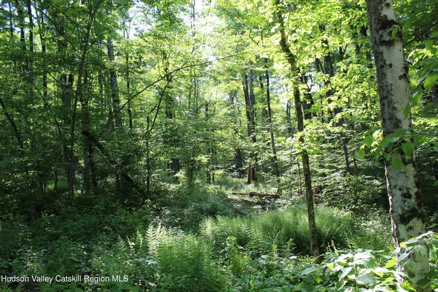 $349,000 | 380 Terrace Drive, Lexington, NY 12468