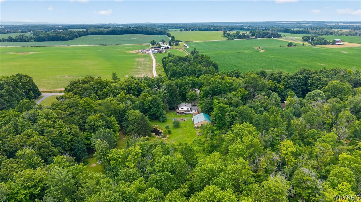 2367 Ellicott Road Caledonia, NY 14423 - Photo 33 of 38