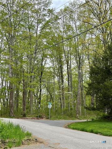 Porges Road East Haddam, CT 06423 - Photo 4 of 6