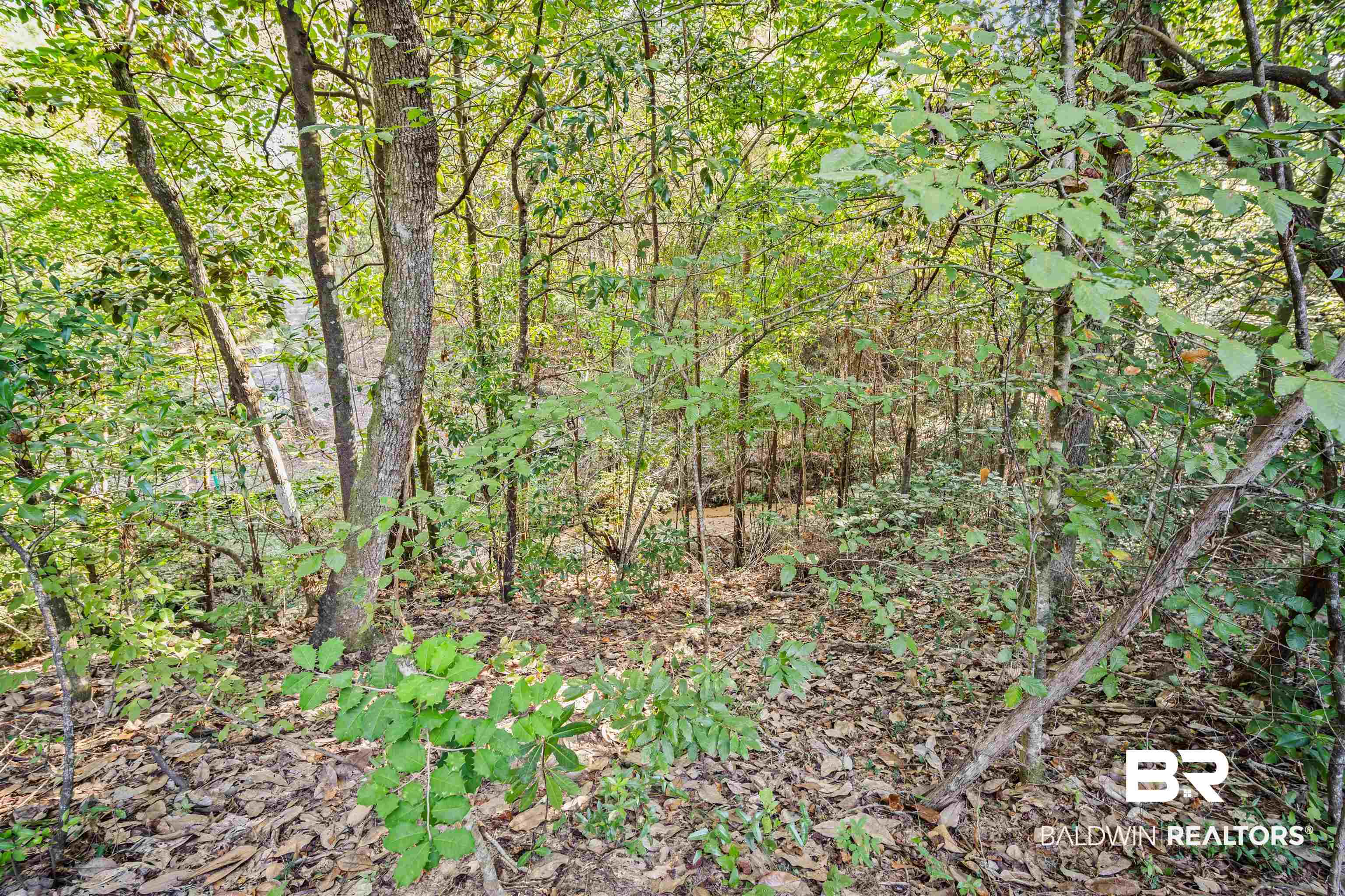 204 General Canby Loop Daphne, AL 36527 - Photo 32 of 36 View of nature