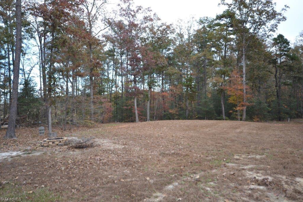 8833 Erect Road Seagrove, NC 27341 - Photo 2 of 15