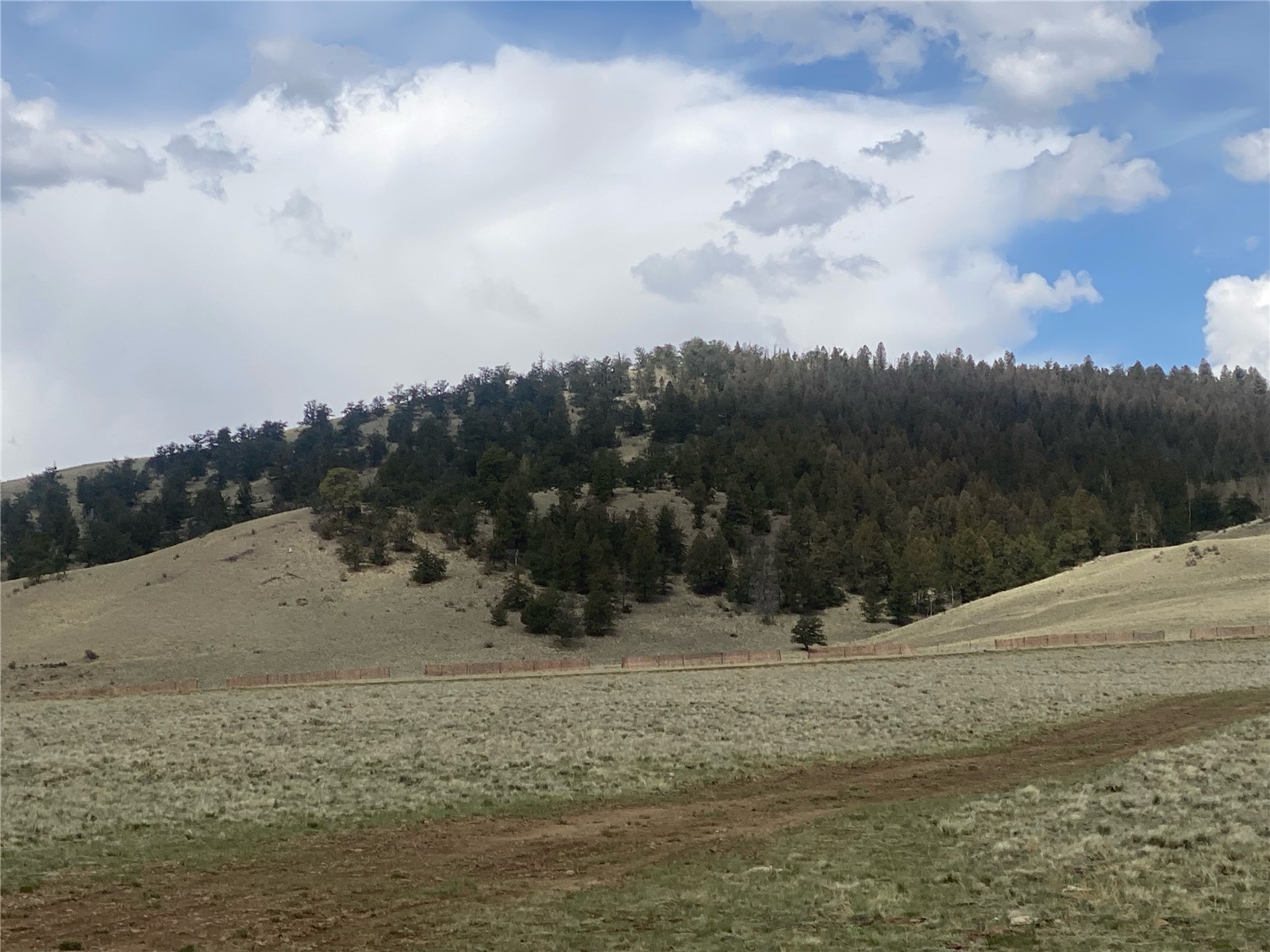 2416 Bar D Road Como, CO 80432 - Photo 20 of 25 Gallery Image 20