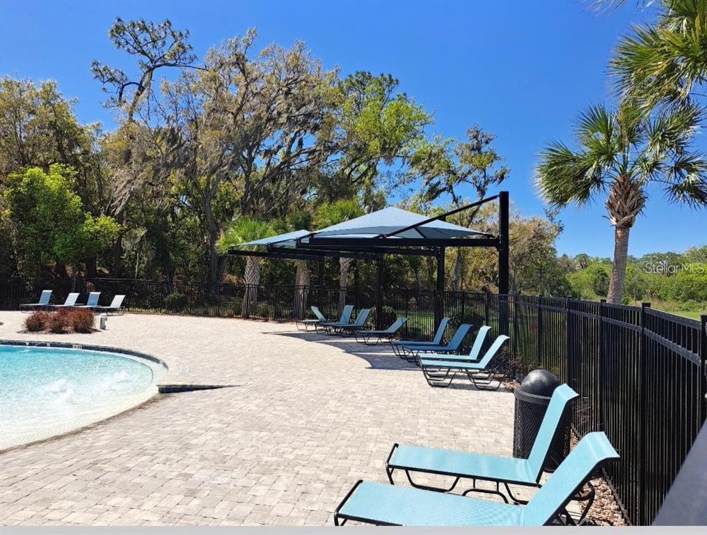 3140 Goose Road Davenport, FL 33837 - Photo 36 of 40 a view of a swimming pool with a patio and a backyard