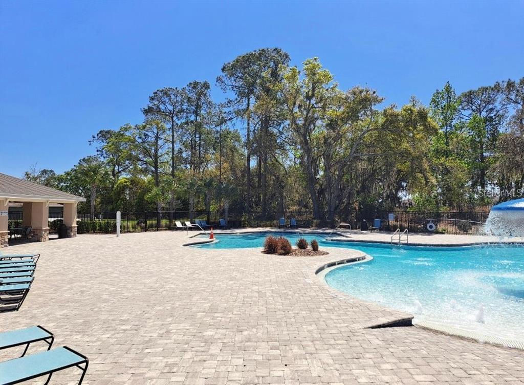 3140 Goose Road Davenport, FL 33837 - Photo 37 of 40 a view of swimming pool with outdoor seating and trees in the background