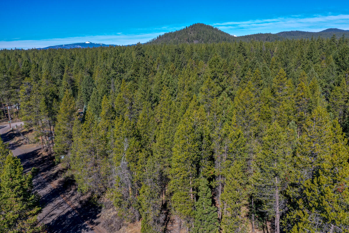16948 Rosemead Road Bend, OR 97707 - Photo 30 of 33 DJI_0351