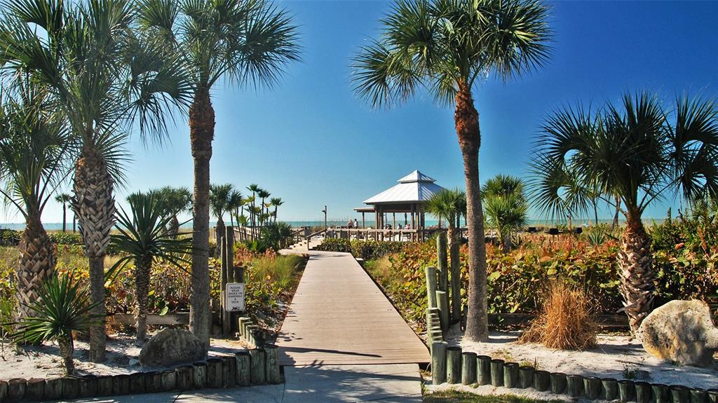 6204 Midnight Pass Road, Unit 205 Sarasota, FL 34242 - Photo 47 of 62 a palm tree sitting in front of a house with a swimming pool
