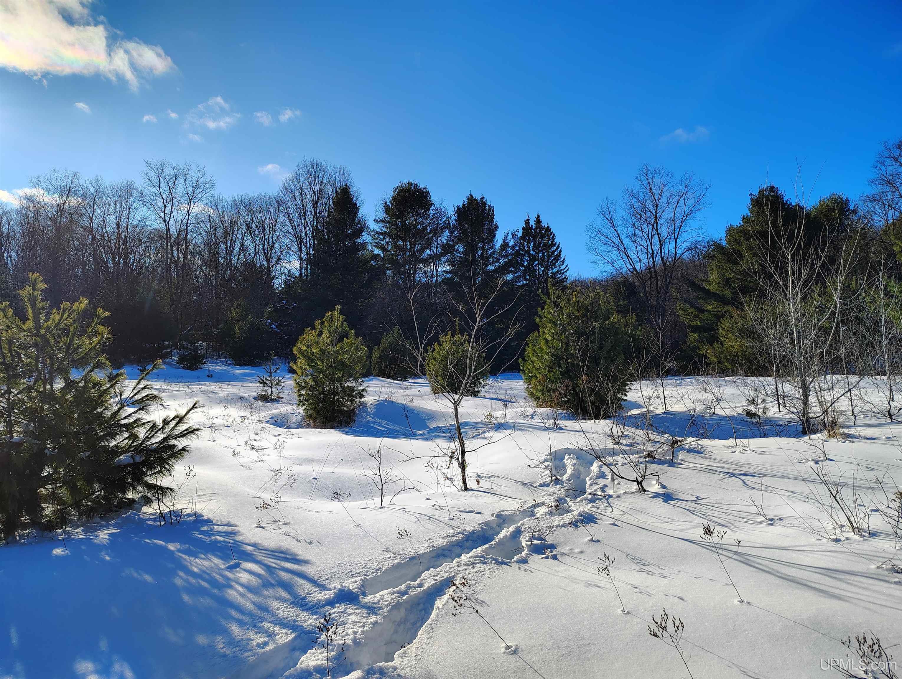 Tbd Off Dana Lake Road Wetmore, MI 49895 - Photo 41 of 54 Gallery Image 41