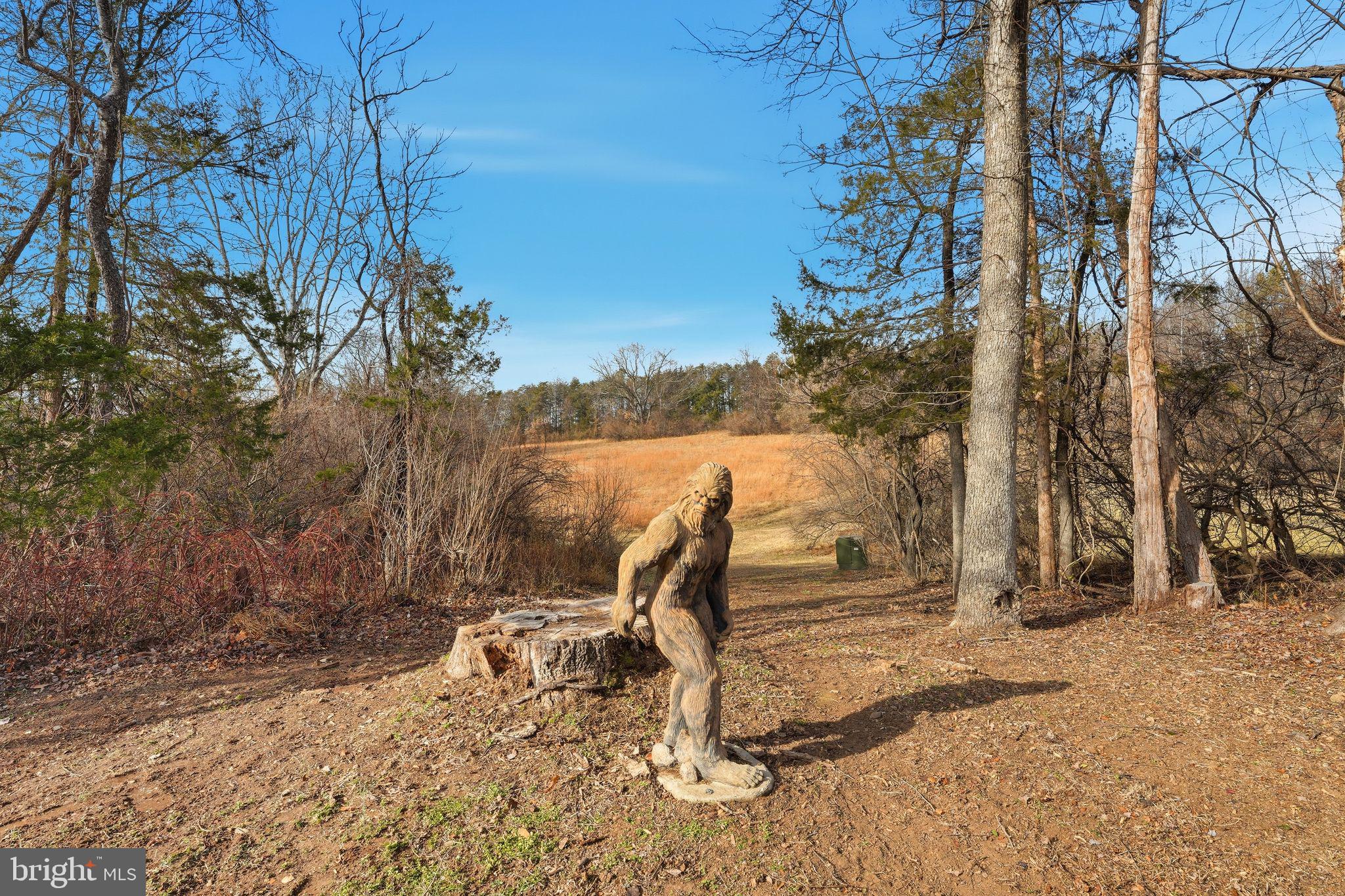 12095 Old Stillhouse Road Boston, VA 22713 - Photo 79 of 88