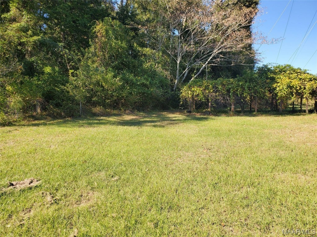2135 Skipperville Road Ozark, AL 36360 - Photo 19 of 20 Gallery Image 19