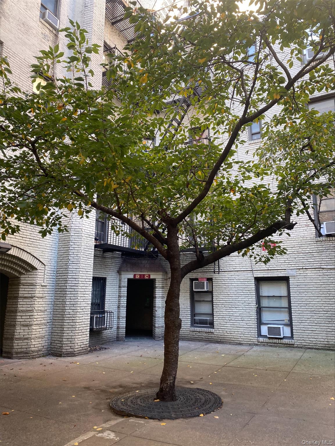 21-67 33rd Street, Unit 4G Queens, NY 11105 - Photo 6 of 11 a front view of a house with a tree