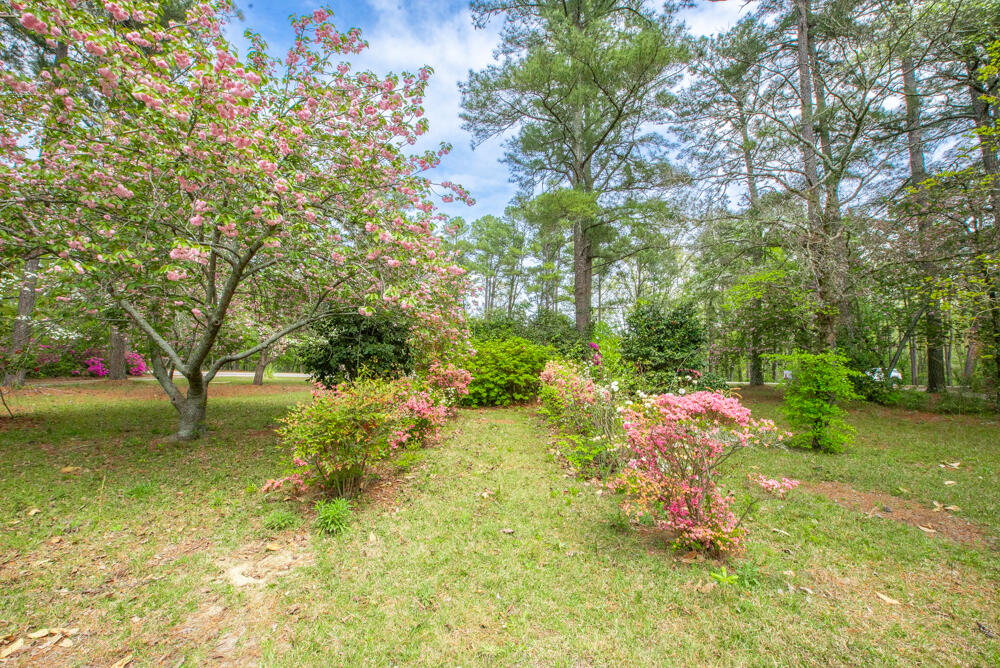 1433 Pine Log Road Aiken, SC 29803 - Photo 2 of 24 Gallery Image 2
