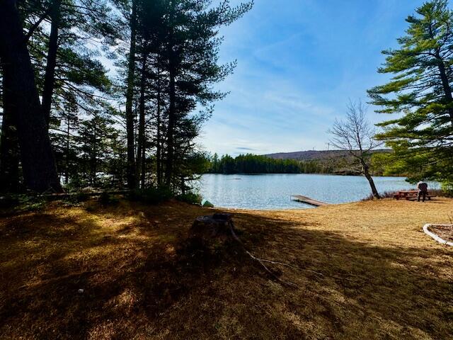 Lot 4 Otter Pond Road Harmony, ME 04942 - Photo 7 of 47 IMG_2396