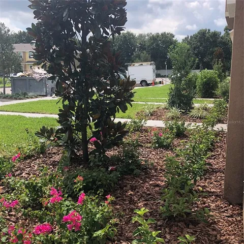 a view of a swimming pool with a yard