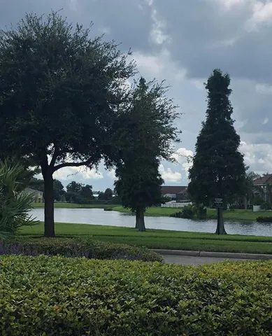 a view of a lake with a tree