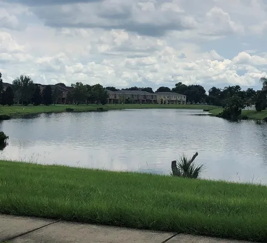 a park with trees in the background