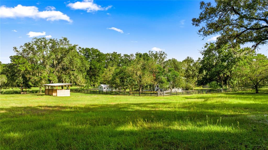 10245 Southwest 105th Street Ocala, FL 34481 - Photo 54 of 83 a swimming pool with trees in the background