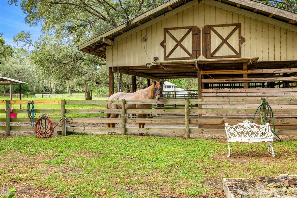 10245 Southwest 105th Street Ocala, FL 34481 - Photo 70 of 83 a view of backyard with wooden fence