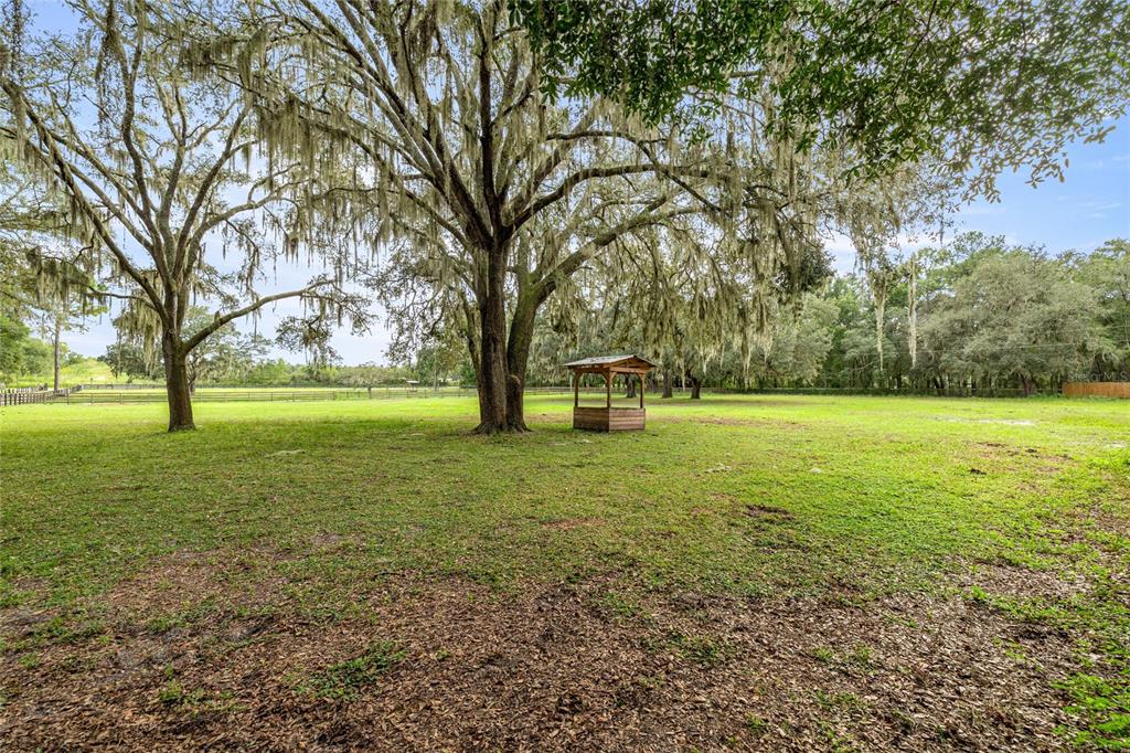 10245 Southwest 105th Street Ocala, FL 34481 - Photo 82 of 83 a view of green field with tree in the background