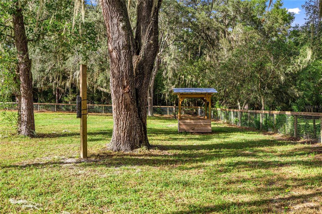 10245 Southwest 105th Street Ocala, FL 34481 - Photo 83 of 83 a view of a house with backyard