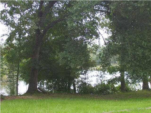 8150 Old Flomaton Road Century, FL 32535 - Photo 5 of 9 Gallery Image 5
