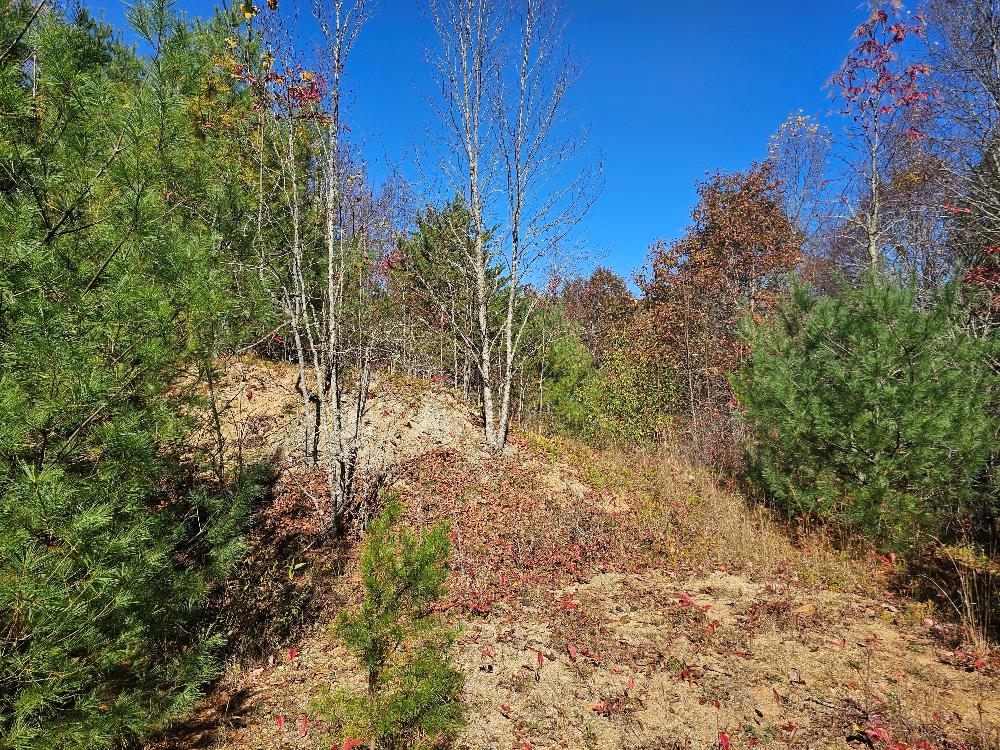 39-e-2-17 Carsonville Road, Unit 17 Galax, VA 24333 - Photo 1 of 14 Gallery Image 1