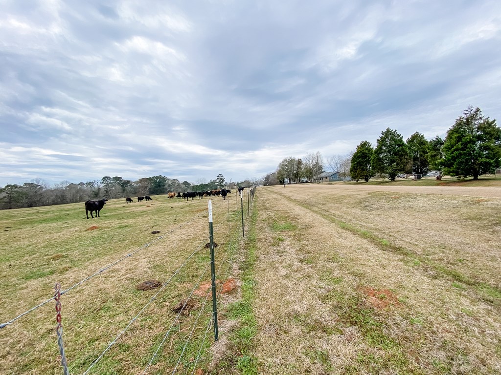 0 Tom Fain Road Geneva, AL 36340 - Photo 9 of 13