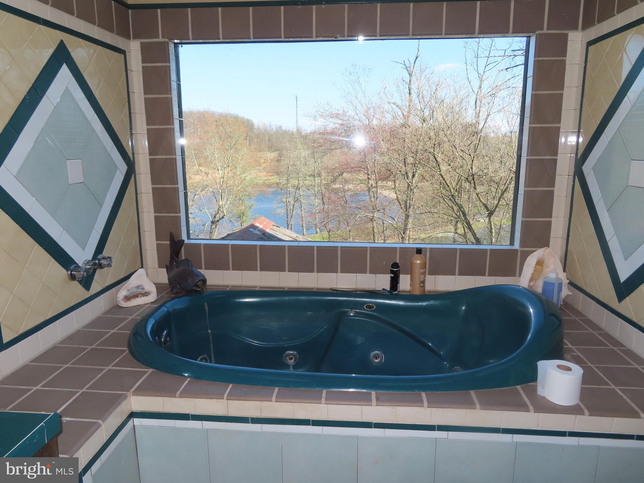 580 Carr Hill Road Gettysburg, PA 17325 - Photo 28 of 68 Whirlpool tub with view and tile surround