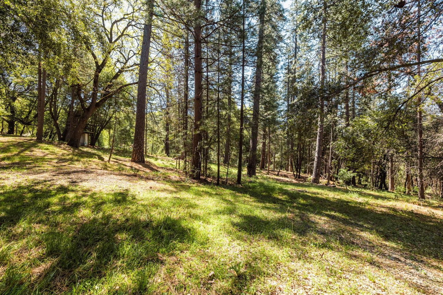 14737 Big Hill Road Sonora, CA 95370 - Photo 2 of 11