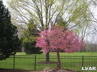 167 Butztown Road Bethlehem, PA 18020 - Photo 7 of 19 Gallery Image 7