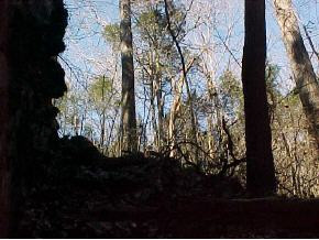 0 Knowling Loop Talbott, TN 37877 - Photo 3 of 9 Photo 3