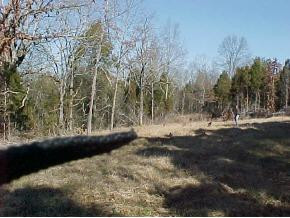 0 Knowling Loop Talbott, TN 37877 - Photo 6 of 9 Photo 6