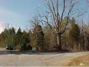 0 Knowling Loop Talbott, TN 37877 - Photo 9 of 9 Photo 9