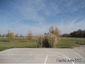 12970 Union School Road Auburn, IL 62615 - Photo 3 of 5 Gallery Image 3