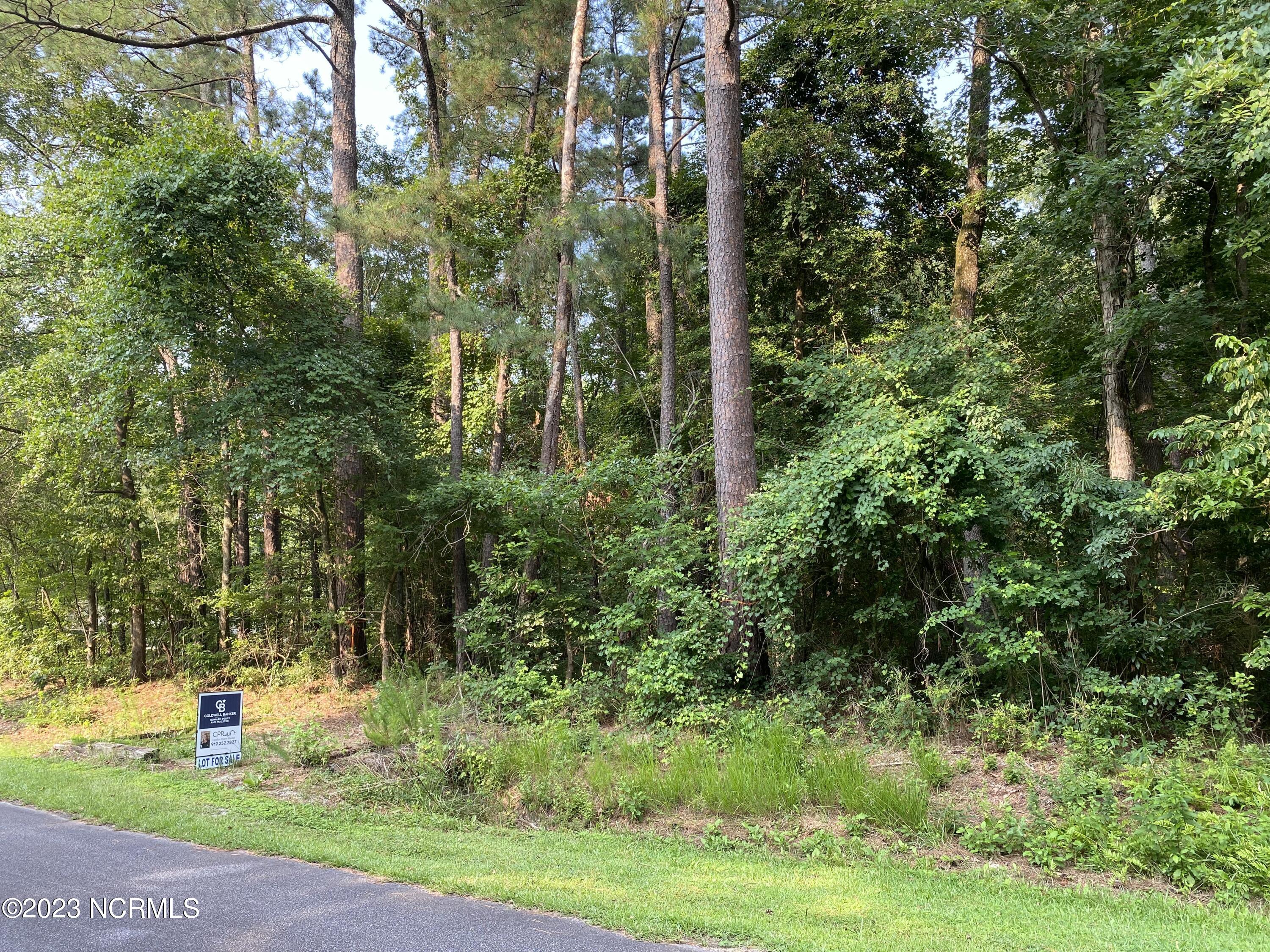 0 Gray Grant Road Kinston, NC 28504 - Photo 3 of 4 1F52B44B-0E54-45C8-ADB1-F8994AD762AF