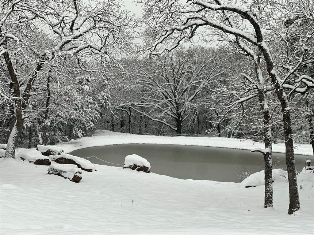 1619 Bloomfield Road Valley View, TX 76272 - Photo 39 of 39 Winter Wonderland.